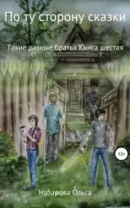 По ту сторону сказки 6. Такие разные братья - Ольга Назарова