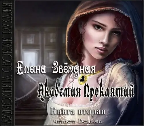 Академия Проклятий 2. Урок второй: Не ввязывайся в сомнительные расследования - Елена Звёздная